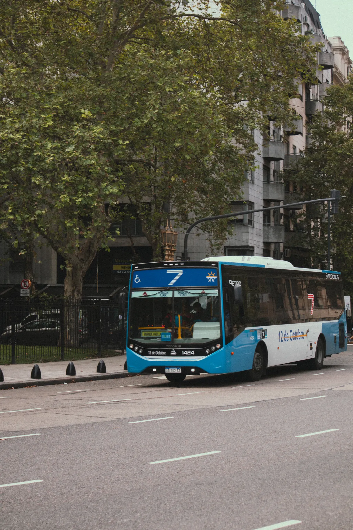 Gallery image 17
